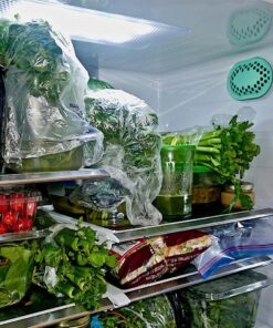 remodeez Refrigerator Deodorizer Eliminator, Nontoxic Coconut, Activated Charcoal, Natural Air Fresheners, Moisture & Odor Absorber for Fridge (Green) 24 71DXM0MBDJL