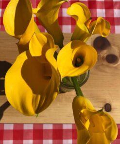 Oojami Pack of 4 Plastic Red and White Checkered Tablecloths - 4 Pack - Picnic Table Covers 54" x 108" Rectangle 29 71DXkjU7HbL