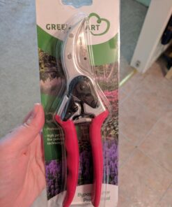 Carbon Steel Bypass Garden Shears - Ultra Sharp Blades with Safety Lock & Comfort Grip - Hand Trimmer with Sap Groove Easily Cuts Through Branches & Stems for Indoor & Outdoor Use 68 71DYKsVaQ5L