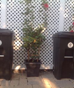 Recycle and Trash Vinyl Lettering Decal Sticker (4" x 4", White) 4" x 4" 35 71DYu8 4YL