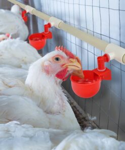 Cruzadel (12 Pack) PVC Tee Fittings For Threaded Poultry Cups Chicken Waterer - Schedule 40 PVC 1/2 inch Slip X 1/2 inch Slip X 1/8 inch FPT 12 27 71DaP4zCN5L