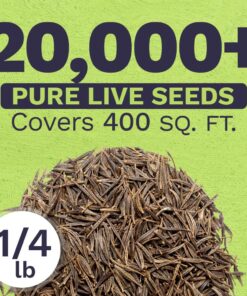 Cosmos Seeds Wildflower Mixture - Bulk Quarter Pound Bag - Over 20,000 Seeds - Pink, Yellow, Orange, Red, Purple and White Mixed Species! 1/4 Pound Bag 19 71DaWi4PWOL