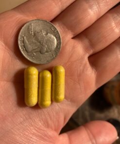 Glucosamine Chondroitin MSM 2110mg - Joint Support Supplement with Turmeric Curcumin for Hands Back Knee & Joint Health for Men & Women - Gluten-Free Non-GMO Supplement - Made in USA - 90 Capsules 90 Count (Pack of 1) 49 71DbJq uNjL