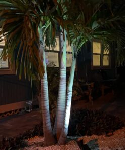 InnoGear Solar Lights for Outside, Solar Lights Outdoor Waterproof Solar Garden Yard Spot Lights Spotlight Pathway Landscape Lighting Wall Light Auto On/Off, Pack of 2 (White) White 51 71DeA6fhFCL