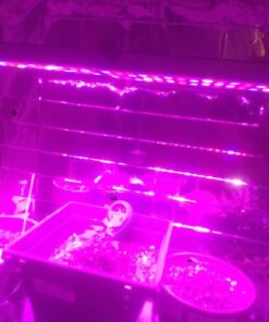 NAVAdeal 2 Pack Silver Highly Reflective Mylar Films, 82x 47Inch, Metallized Foil Covering Sheet, Garden Greenhouse Farming, Increase Plant Growth Save Power, Reduce Uneven Heat Environment Safe Pack of 2 40 71DhIigZs1L