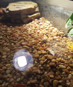 Tetra Decorative ReptoFilter, Terrarium Filtration, Keeps Water Clear 59 71DhMFUpYrL