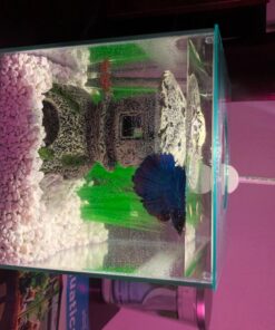 Marina CUBUS Glass Betta Kit – Elegant Glass Aquarium for Homes or Offices 45 71DkJkeG59L