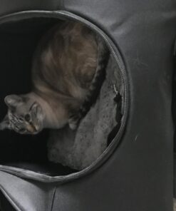 Pet Gear I-GO2 Roller Backpack, Travel Carrier, Car Seat for Cats/Dogs, Mesh Ventilation, Included Tether, Telescoping Handle, Storage Pouch 22.0"L x 13.5"W x 16.0"H 54 71DkKToLOQL