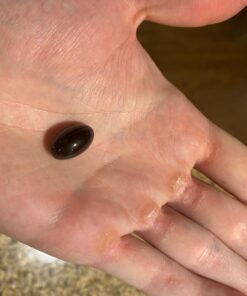 Sports Research Tart Cherry Concentrate - Made from Montmorency Tart Cherries - Non-GMO & Gluten Free (60 Liquid Softgels) 29 71DoplTT3uL