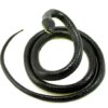 Paialco Realistic Rubber Snake Toy 52 Inch Long (Black) Black 21 71DpQP21m1L