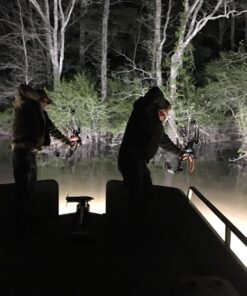 USTELLAR 2 Pack 80W LED Flood Light IP66 Waterproof Outdoor Super Bright Security Lights 800W Equiv, 5000K Daylight White Outside Floodlight Landscape Wall Lights 80.0 Watts 61 71DpkV3Ik9L