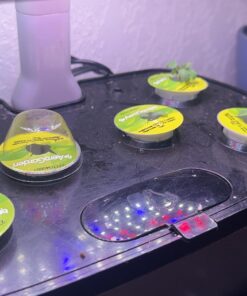 AeroGarden Red Heirloom Cherry Tomato Seed Pod Kit for AeroGarden Hydroponic Indoor Garden, 6-Pod 39 71Dr2p4 QHL