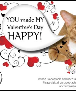 NextDayLabels - 8-1/2 x 11 Laser and Inkjet Printer Postcards 4 up Per Page, (4-1/4" x 5-1/2" After Perf) 100 Sheets / 400 Cards 100 Sheets (400 Cards) 20 71DsaamnM L