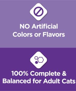 Purina Cat Chow Gentle Dry Cat Food, Sensitive Stomach + Skin - 13 lb. Bag 13.00 Pound (Pack of 1) 25 71Dt3Kc8VuL