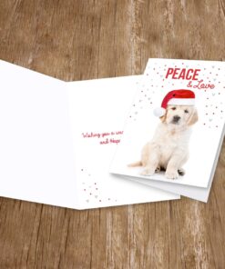 Canopy Street Labrador Love Holiday Card Pack / 25 Cards And Envelopes Pack/Festive Santa Hat Puppy Design With Greeting Inside/Dog Christmas And New Year Cards 15 71Dx397jzL