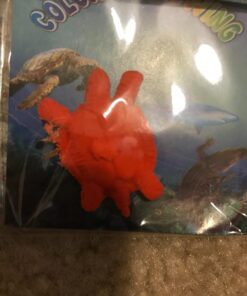 Funlop 24 Pack Sensory Jelly Water Growing Sea Life Creatures Animals, Amazing, Fun, Educational, Learning Toy for Children Boys and Girls (24 Assorted Sea Creatures and Colors) 30 71DxA k 3eL