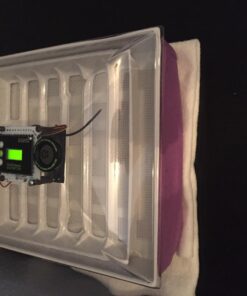 IncuView™ 3 Pro All-in-One Automatic Egg Incubator w Built-in Egg Turner, Incubator Warehouse, Countdown Hatch Timer, Auto-Off Egg Turner, Universal Egg Turner, Quail - Goose, 2022 42 71Dzcr4cKSL