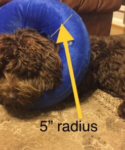 KONG - Cloud Collar - Plush, Inflatable E-Collar - For Injuries, Rashes and Post Surgery Recovery - For Medium Dogs/Cats Standard Packaging 28 71E VyJmX5L