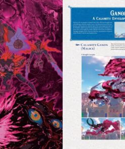 The Legend of Zelda: Breath of the Wild--Creating a Champion 33 71E0 PQAoRL