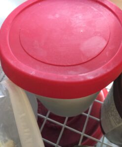 StarPack Ice Cream Containers for Homemade Ice Cream (2 Pcs) - Reusable Ice Cream Storage Containers for Freezer - Leak-Free Ice Cream Containers with Lids (Silicone) - 1 Liter per Ice Cream 2 Pc Set (Large) 39 71E1U5XHehL