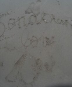 Lightdow LD4000 Sports Action Camera HD Waterproof DV Camcorder (Black) Black 52 71E30ru4MdL