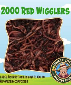 Uncle Jim's Worm Farm 2000 Count Red Wiggler Worms 16 71E3m1BJrSL