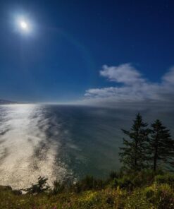 Rokinon FE14M-E 14mm F2.8 Ultra Wide Lens for Sony E-mount and Fixed Lens for Other Cameras 53 71E4FUNNpSL