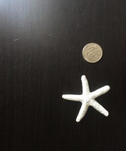 SUBANG 20 Pieces Starfish 2.3 Inch White Resin Sea Star Fake Starfish for Wedding Decor Beach Theme Party, Home Decorations,DIY Crafts, Fish Tank 2.3inch 22 71E4IFm9o L