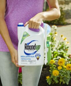 Roundup Ready-To-Use Weed & Grass Killer III -- with Sure Shot Wand, Use in & Around Vegetable Gardens, Tree Rings, Flower Beds, Patios & More, Kills to the Root, 1.33 gal. 24 71E4o1zumaL