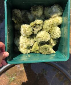 Rx Clear White Luster Filter Media for Swimming Pool Sand Filters | Alternative to Sand and Filter Glass | Specialty Technology Helps Keep Pools Clean | Lasts for Several Seasons | Individual Pack 1-Pack 49 71E74o6TMvL