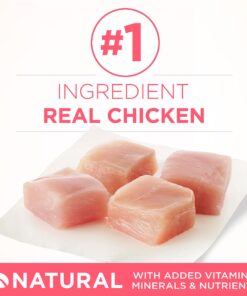 Purina ONE High Protein, Natural Dry Kitten Food, +Plus Healthy Kitten Formula - 16 lb. Bag Dry Food Chicken 16.00 Pound (Pack of 1) 25 71E7G3qtQiS