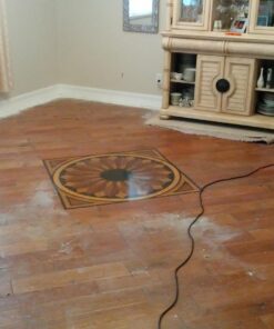 Ewbank EP170 All-In-One Floor Cleaner, Scrubber and Polisher, Red Finish, 23-Foot Power Cord 38 71E7dc6sivL