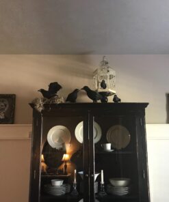 Realistic Feathered Crows Halloween Decorations - Set of 2 - Scary Home Decor 6 71E7r9nYyNL