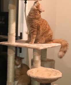 Go Pet Club Classic Cat Tree, Faux Fur Finish, Sisal Rope Scratcher, 62"H, Beige 39 71EAqyXwjUL