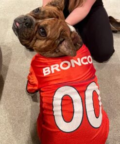 NFL Denver Broncos Dog Jersey, Size: X-Large. Best Football Jersey Costume for Dogs & Cats. Licensed Jersey Shirt 27 71EAxFIhWpL