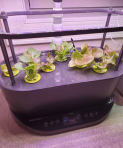 Aerogarden Salad Greens Seed Pod Kit with Red, Green, Romaine and Butter Leaf Lettuce, Liquid Plant Food and Growing Guide (9-Pod) 9-pod 22 71ECLGBwmIL