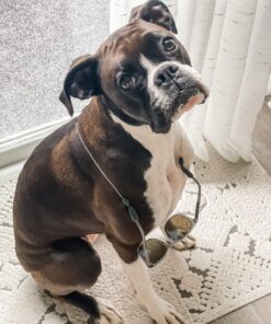 Costa Del Mar unisex-adult C-line Retainer 20 Inch Silver 12 71EDOrnR8bL