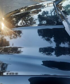 Chemical Guys GAP_619_16 Black Light Hybrid Radiant Finish, Glaze & Sealant, (Safe for Cars, Trucks, SUVs, & More) for Black and Dark Colored Cars, 16 fl oz 37 71EDZNc5 WL