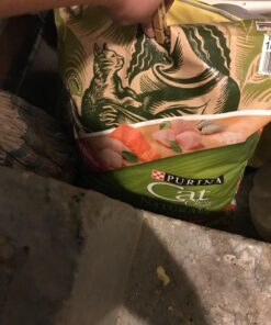 Purina Cat Chow Naturals With Added Vitamins, Minerals and Nutrients Dry Cat Food, Naturals Original - 13 lb. Bag Chicken & Salmon 13.00 Pound (Pack of 1) 46 71EEIoyUOSL