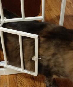 Carlson Extra Wide Walk Through Pet Gate with Small Pet Door, Includes 4-Inch Extension Kit, Pressure Mount Kit and Wall Mount Kit,White 39 71EH5MQp6ML