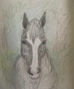 Castle Art Supplies 72 Watercolor Pencils Set | Vibrant Pigments for Blending, Drawing and Painting | For Adults, Hobbyists and Professionals I Protected and Organized in Presentation Tin Box 31 71EIaHLdy2L