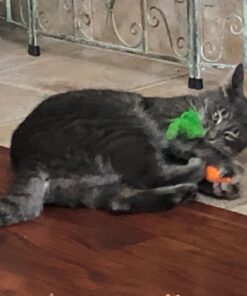 OurPets 100-Percent North American Catnip Filled Carrot Cat Toy 24 Karat OurPets 100-Percent Premium North- American Grown Cosmic Catnip Cat Toy 48 71EKNLjEHHL