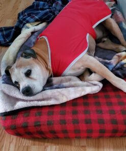 Zack & Zoey Nor'Easter Blanket Coat, X-Large, Red 1 33 71ENw5HYYL 1