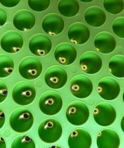 Chemical Guys DIRTTRAP04 Cyclone Dirt Trap Car Wash Bucket Insert Car Wash Filter Removes Dirt and Debris While You Wash (Green) 12" Diameter Great For Washing Cars, Trucks, SUVs, RVs & More Lime Green 39 71EOL5rZsJL