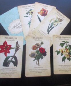 Botanical Inspirations Deck & Book Set 62 71EPTu4IU1L 1