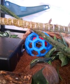 JW Pet Hol-ee Roller Dog Toy Puzzle Ball, Natural Rubber, Medium (4.5 Inch Diameter), Colors May Vary 23 71EUl26MbzL