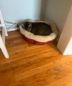 Petmate Aspen Pet Self Warming Round Bed, 19.5 Inches, Barn Red and Cream 19.5"L x 19.5"W x 7.0"Th 32 71EYQ4MF2ZL