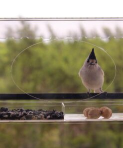 Large Clear Window Bird Feeder - Extended House with Strong Suction Cups - Steel Perch Sliding Feed Seed Tray - See Through Transparent Big Birdhouse - Wild Finch, Cardinal, Blue Jay - Cool Cat Gift 99 71Edbe1m7IL