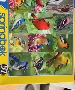 Springbok Birds of a Feather 500 piece Jigsaw Puzzle for Adults features a photo collage of colorful American birds 15 71Edg Zb9KL