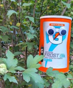 Gatorade Thirst Quencher Powder, Frost Glacier Freeze, 76.5 Ounce, Pack of 1 32 71EeZsYbytL